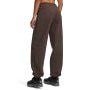 mini: Damskie spodnie dresowe Under Armour Icon Flc Gym Pant - brązowe (3)
