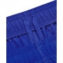 mini: Męskie spodenki treningowe Under Armour UA Woven Graphic Shorts - niebieskie (5)