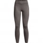 Damskie legginsy treningowe Under Armour UA Cg Authentics Legging - szare