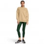 mini: Damska bluza dresowa nierozpinana bez kaptura Under Armour UA Icon Hwt Flc Os Crew - brązowa (3)