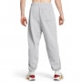 mini: Męskie spodnie dresowe Under Armour UA Icon Hwt Terry Os Pant - szare (3)