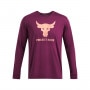 Męski longsleeve treningowy Under Armour Project Rock Brahma Bull Ls - fioletowy 