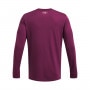 Męski longsleeve treningowy Under Armour Project Rock Brahma Bull Ls - fioletowy 