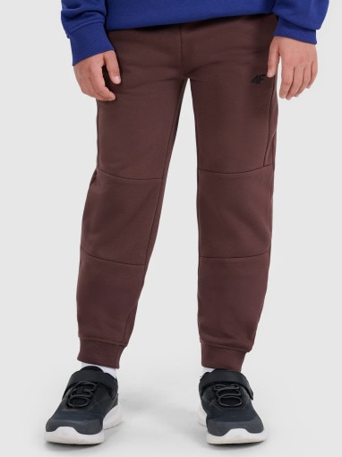 Chłopięce spodnie dresowe joggery 4F 4FJRAW25TTROM1578 - brązowe