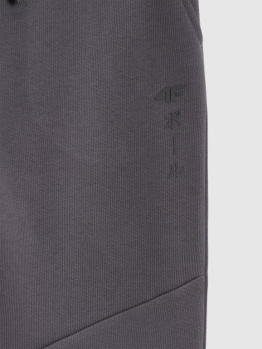 Chłopięce spodnie dresowe joggery 4F 4FJRAW25TTROM1663 - szare