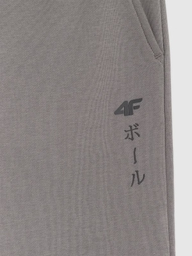 Chłopięce spodnie dresowe joggery 4F 4FJRAW25TTROM1663 - szare