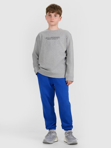 Chłopięcy longsleeve z nadrukiem 4F 4FJWAW25TLONM485 - szary