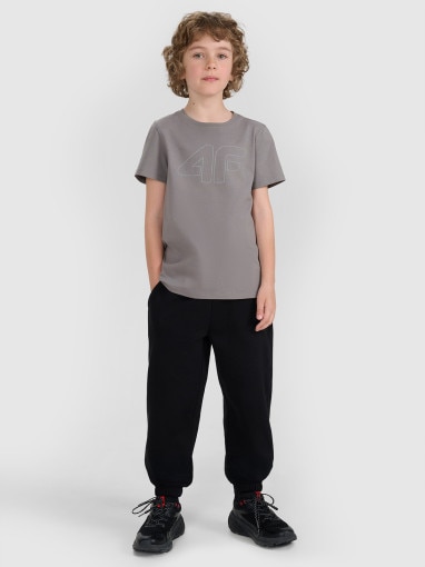 Chłopięcy t-shirt z nadrukiem 4F 4FJRAW25TTSHM3261 - szary