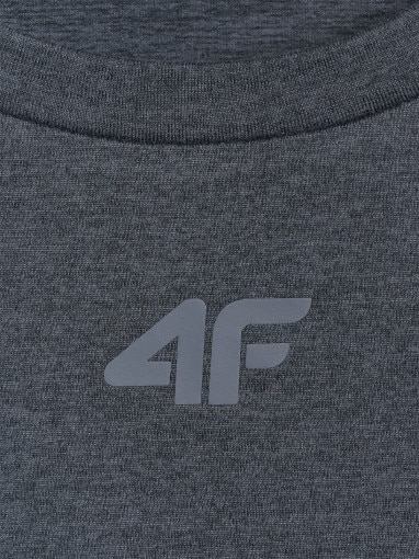 Męska koszulka treningowa 4F 4FWMM00TFTSM1831 - szara