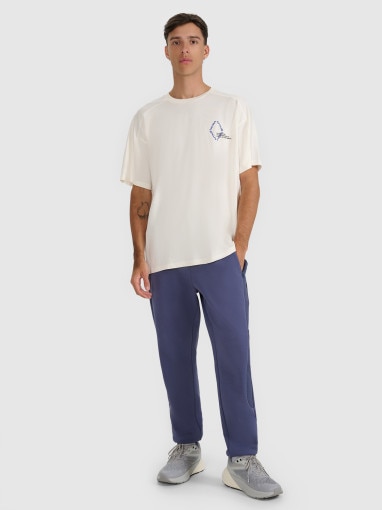 Męski t-shirt oversize z nadrukiem 4F 4FWAW25TTSHM2401 - beżowy