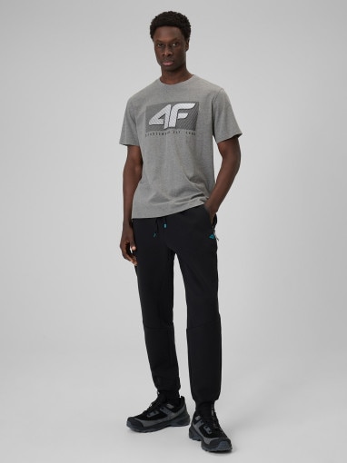 Męski t-shirt z nadrukiem 4F 4FRSS26TTSHM3991 - szary