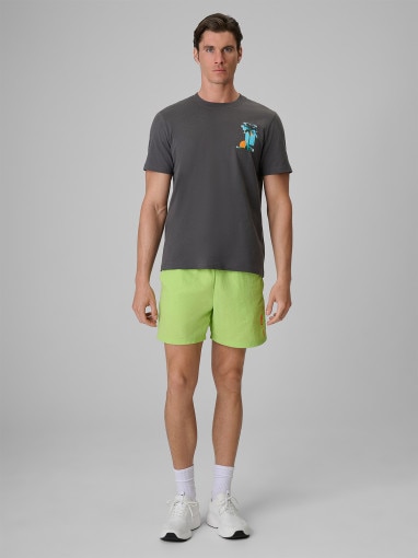 Męski t-shirt z nadrukiem 4F 4FRSS26TTSHM4301 - szary