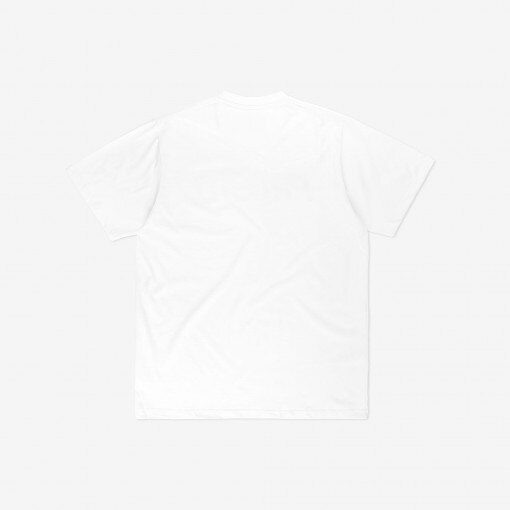 Męski t-shirt z nadrukiem Prosto Legacy - biały