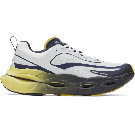  UNDER ARMOUR Męskie buty do biegania Under Armour UA Halo Racer  szare  Szary