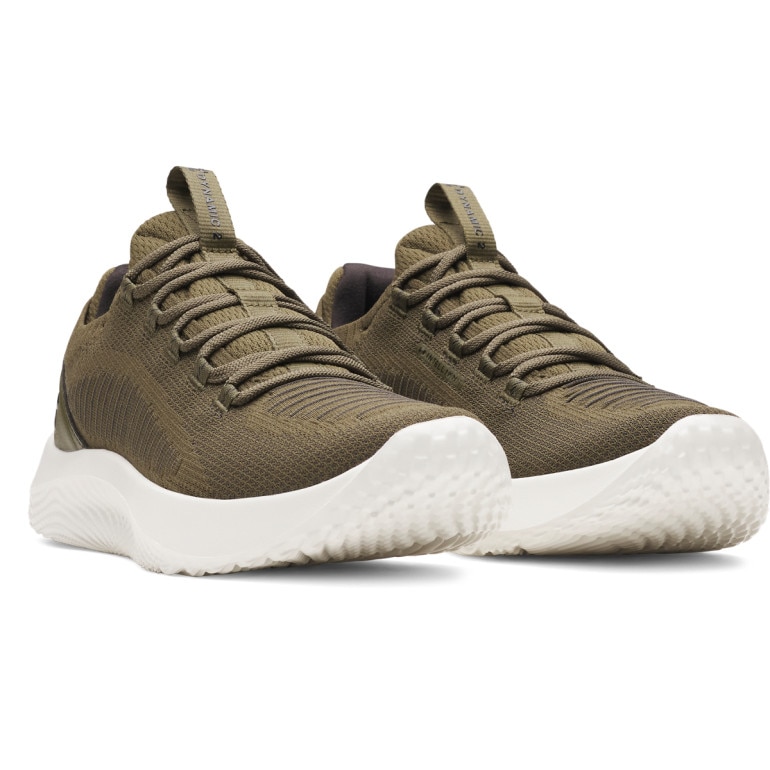 Męskie buty treningowe Under Armour UA W Dynamic 2 - khaki