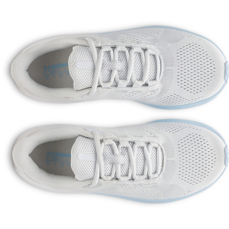 Damskie buty do biegania Under Armour UA W Charged Pursuit 4 Big Logo - szare