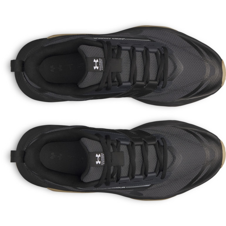 Męskie buty treningowe Under Armour Charged Commit TR 5 - czarne