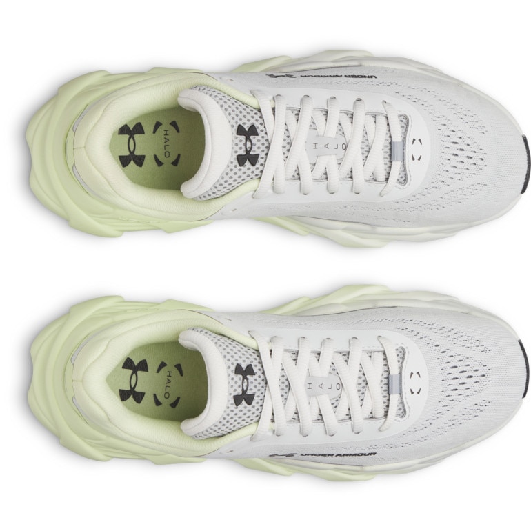 Damskie buty do biegania Under Armour UA W Halo Runner NM - szare