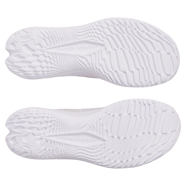 Damskie buty do biegania Under Armour UA W Velociti 4 - szare