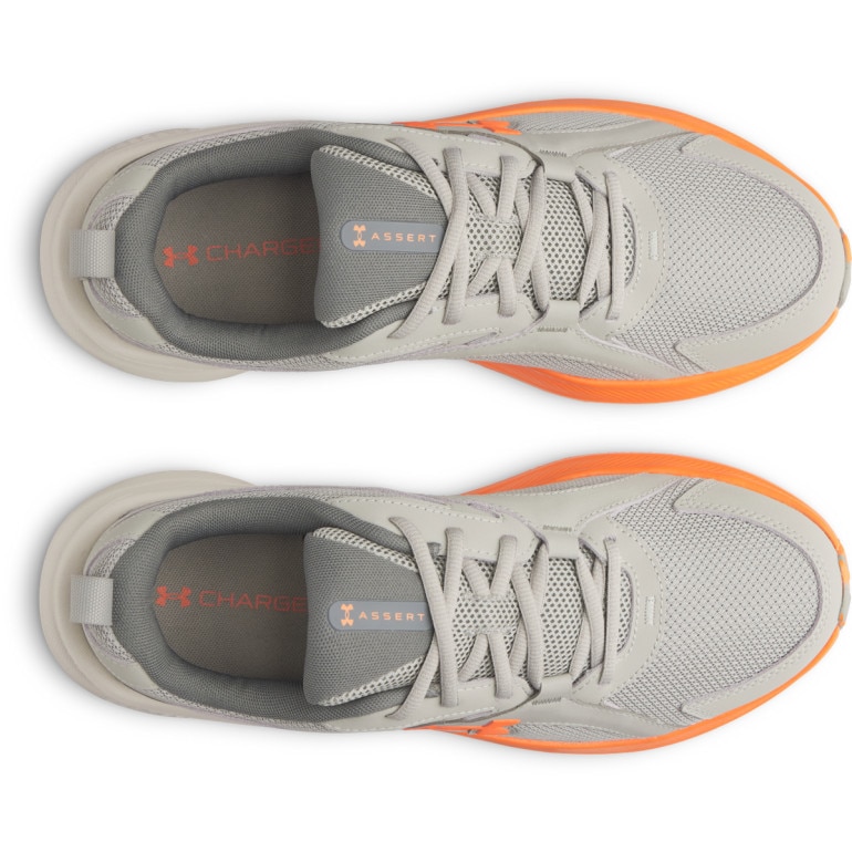 Męskie buty do biegania Under Armour UA Assert 11 - szare