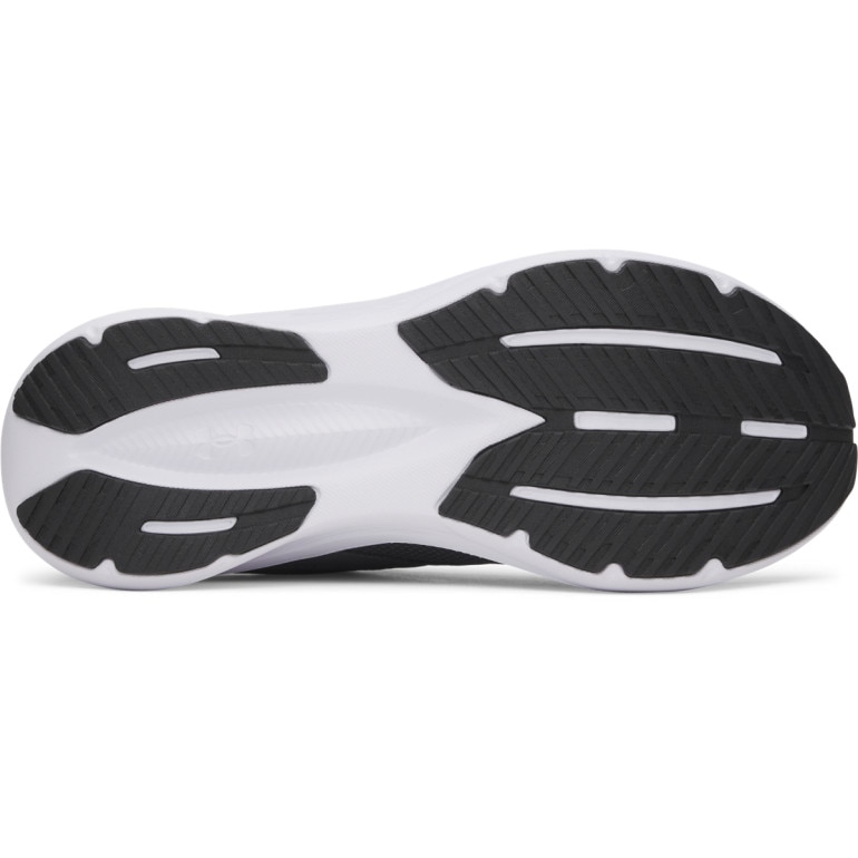 Męskie buty do biegania Under Armour UA Assert 11 - szare