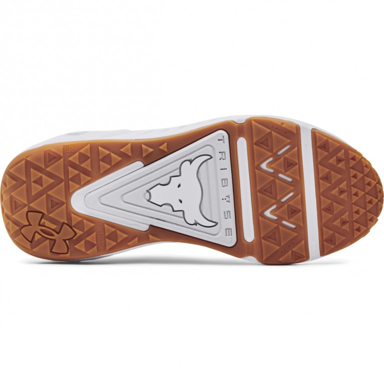 Męskie buty treningowe Under Armour Project Rock 6 - białe 