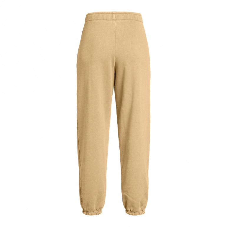 Damskie spodnie dresowe Under Armour UA Icon Hwt Flc Os Pant - brązowe