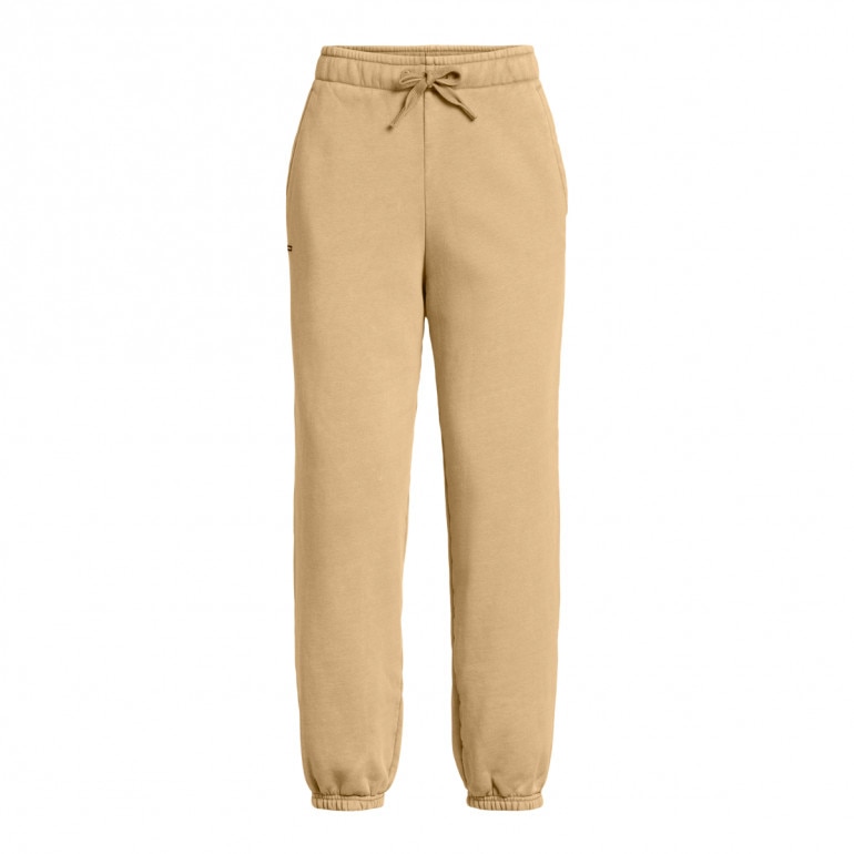 Damskie spodnie dresowe Under Armour UA Icon Hwt Flc Os Pant - brązowe
