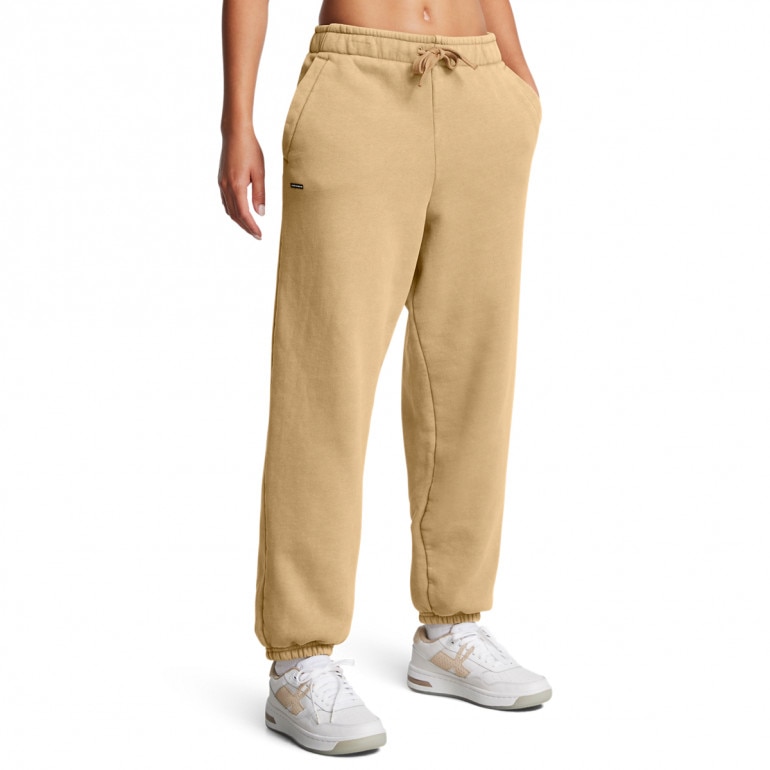 Damskie spodnie dresowe Under Armour UA Icon Hwt Flc Os Pant - brązowe