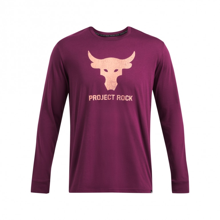 Męski longsleeve treningowy Under Armour Project Rock Brahma Bull Ls - fioletowy 