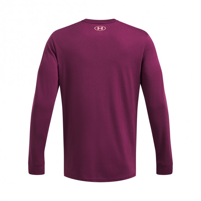 Męski longsleeve treningowy Under Armour Project Rock Brahma Bull Ls - fioletowy 